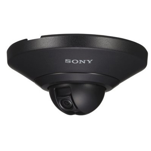 Sony SNC-DH110 W